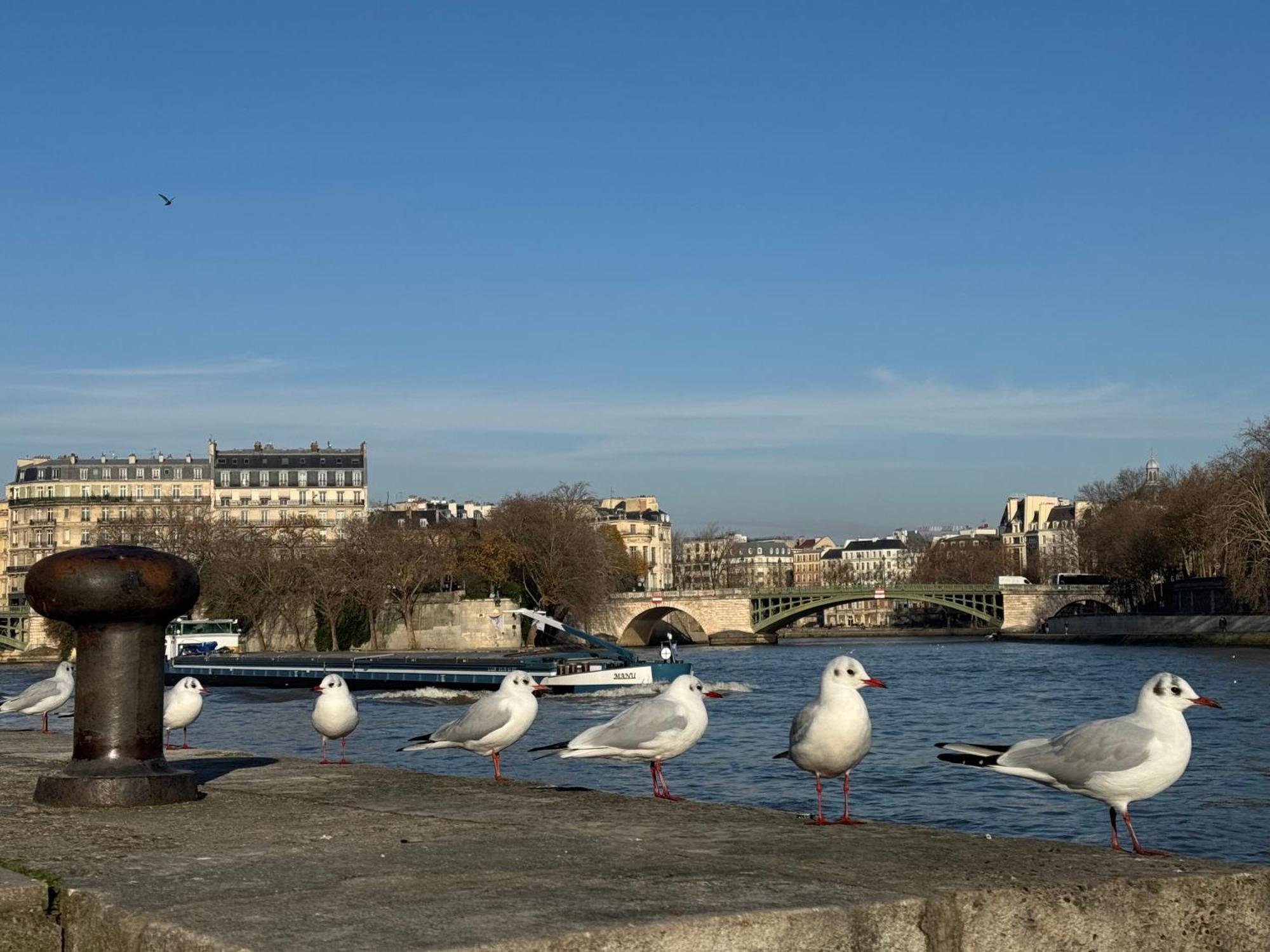 New Private Apartment Paris City Center - Les Arenes Pantheon Notre-Dame Jussieu Jardin Des Plantes Quai De Seine מראה חיצוני תמונה